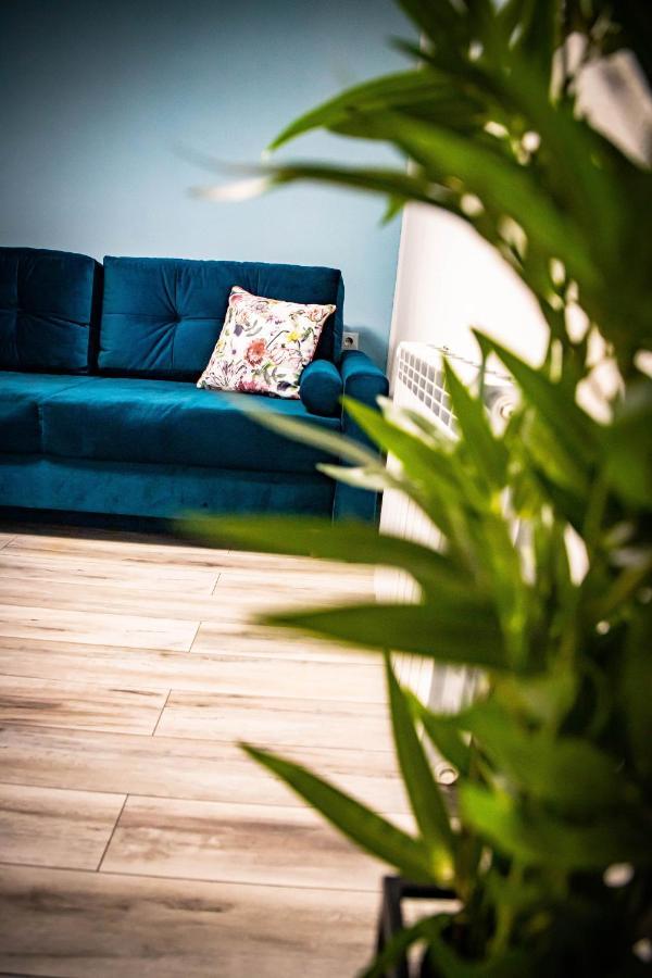 Sib Jo Central Apartments Sibiu Luaran gambar